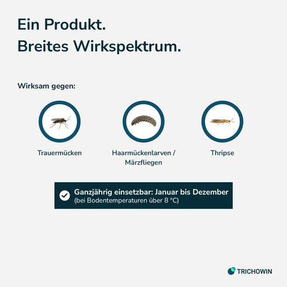 SF-Nematoden gegen Trauermücken