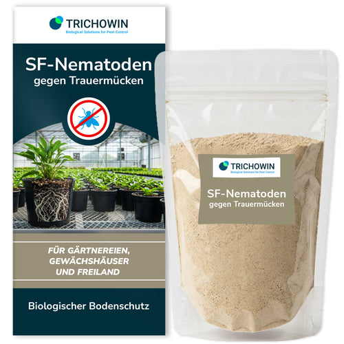 SF-Nematoden gegen Trauermücken